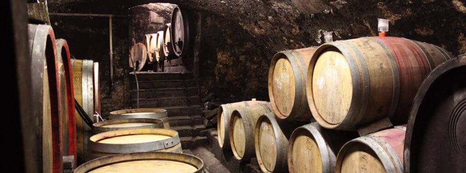Wein-Genuss und Spitzenkulinarik: Brüder Dr. Becker laden zum „Tafeln unter dem Nussbaum“