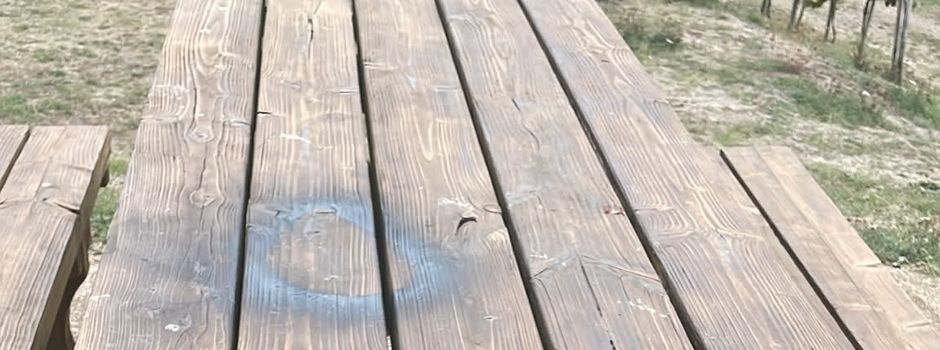 Vandalismus am Seminarpavillon 