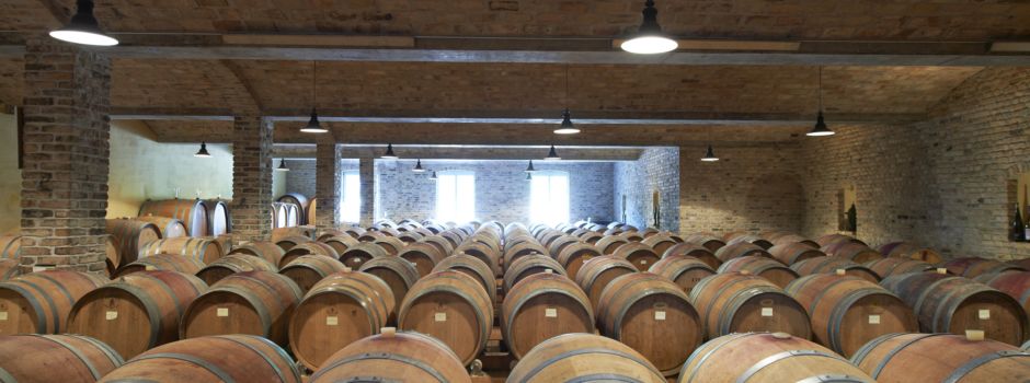 Diese zwei Jungwinzer aus Rheinhessen gehören zu den besten Deutschlands