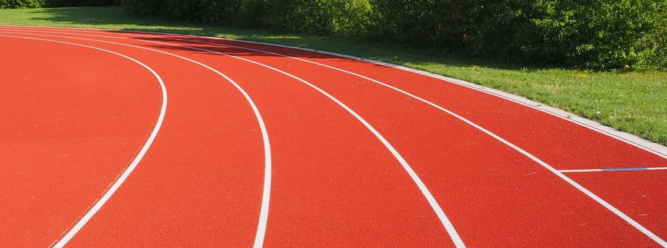 Sportvereinsbefragung im Landkreis Mainz-Bingen