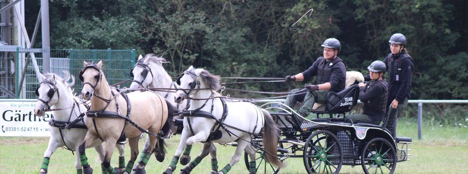Buckauer Jubiläumsturnier im Jahr des 
Feuerpferdes