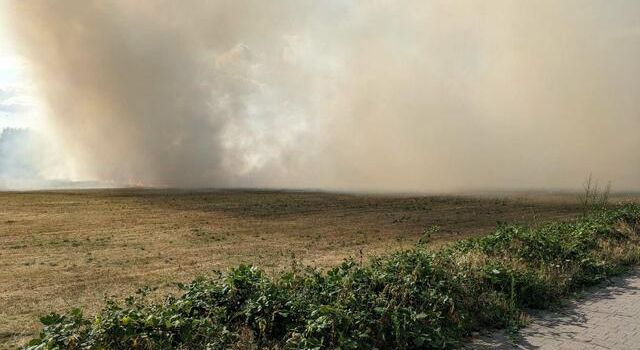 Feldbrand bei Knittelsheim