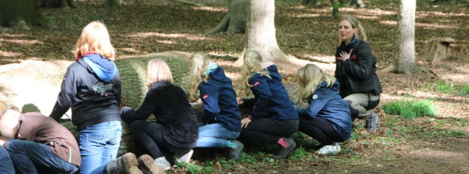 „Ehrhorner Waldabenteuer“ startet