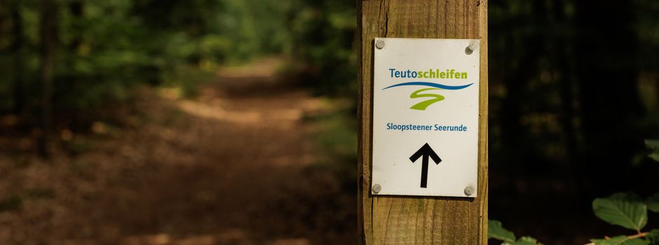 Teutoschleifen und -schleifchen entdecken