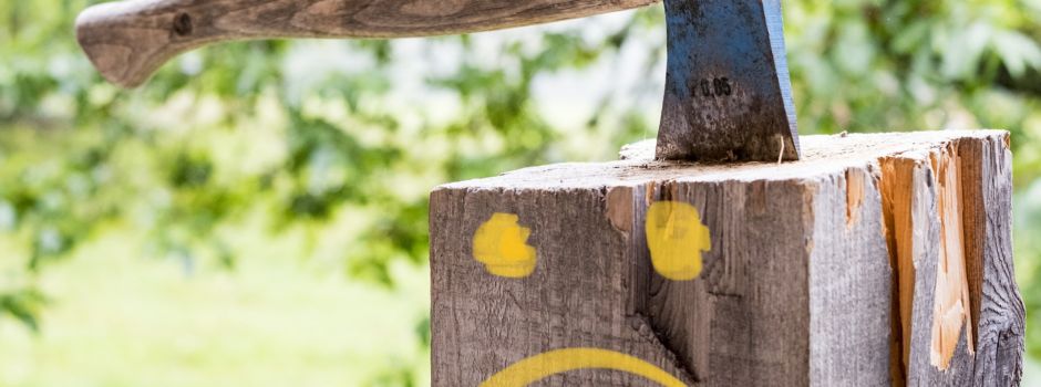 Alte Ulme muss in Nierstein gefällt werden :-(