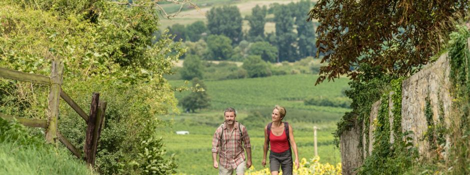 Tourismuspreis Rheinland-Pfalz: Fünf Projekte aus Rheinhessen sind unter den Finalisten - und ein Projekt aus Nierstein