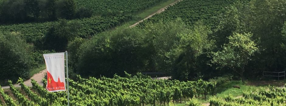 Präsentation am Roten Hang und Riesling Lounge am 8. und 9. Juni in Nierstein