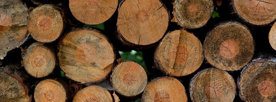 Holzbestellung