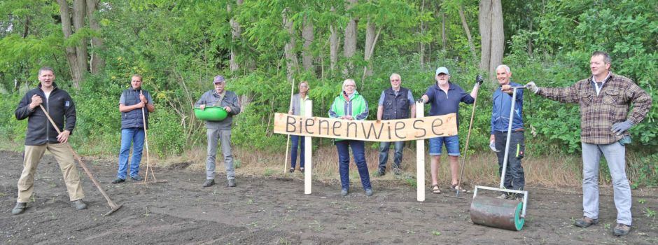 Ein neuer Start-, Lande- und Rastplatz für Summer und Brummer