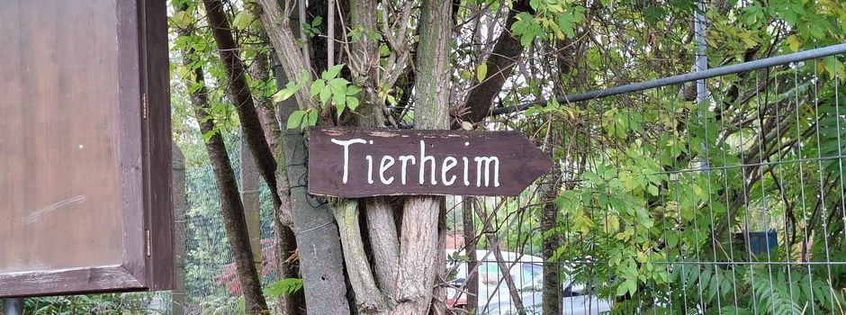 Tierheim Eisleben 2026: Termine vormerken!