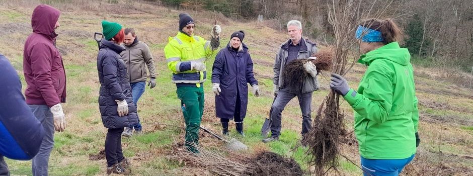 AMC pflanzt 525 Bäume bei erfolgreicher Umweltaktion
