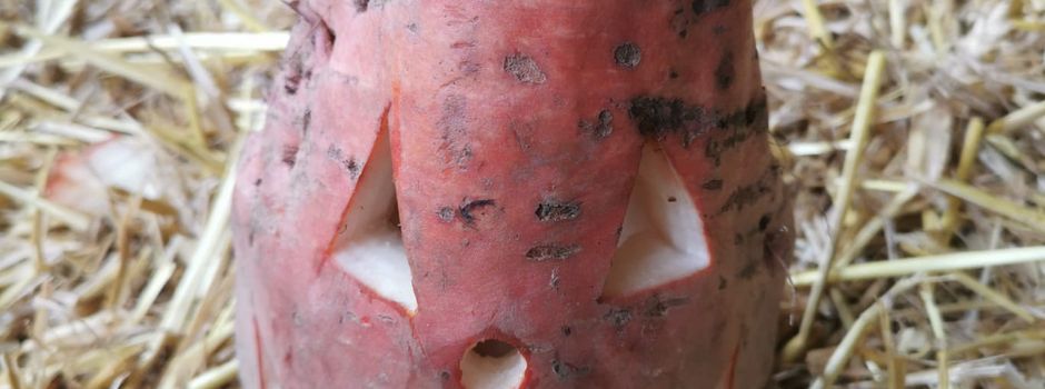 Rübengeisteraktion 2025