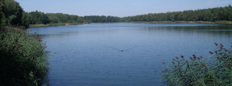 Untersuchung der Badewasserqualität im Badegewässer "Prößdorfer See"