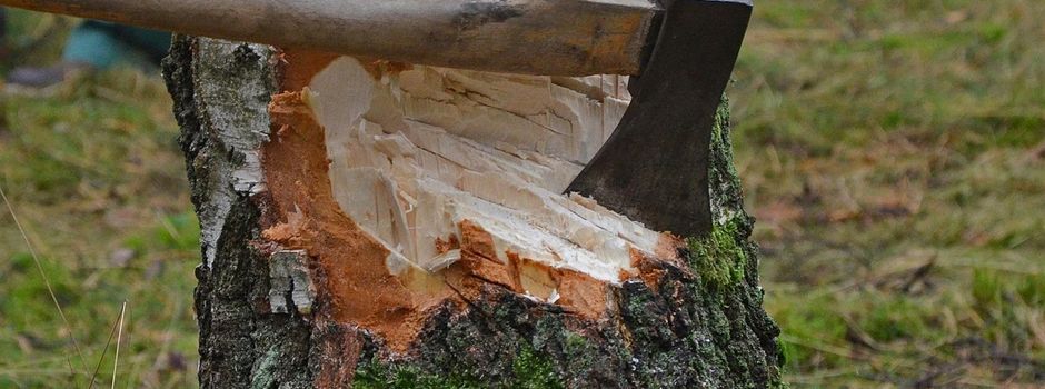 K15 Sperrung: Umleitungen für Autofahrer