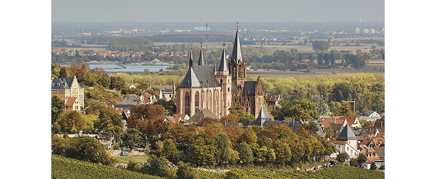 Wenn die Orgel auf die Marimba trifft: Exotische Klänge zum Katharinenmarkt