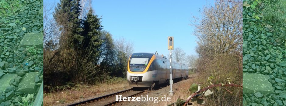 OWL gegen Ministerpläne: Land soll Verantwortung für Schienenpersonennahverkehr übernehmen