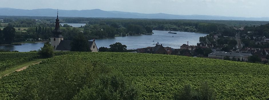 Niersteiner Kultur- und Weinbotschafterin Barbara Reif bietet drei Veranstaltungen im April an