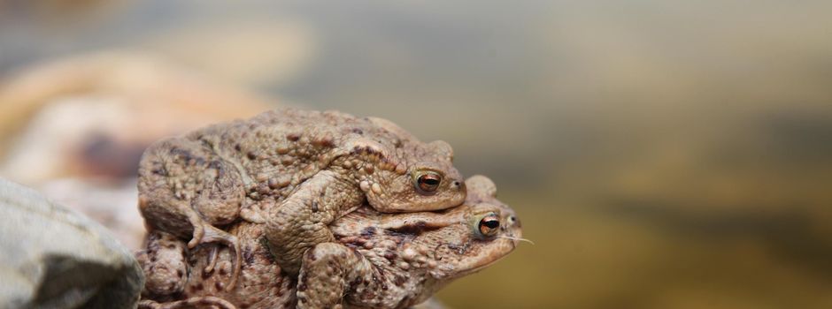 Kleine (= große) Hilfe gesucht!