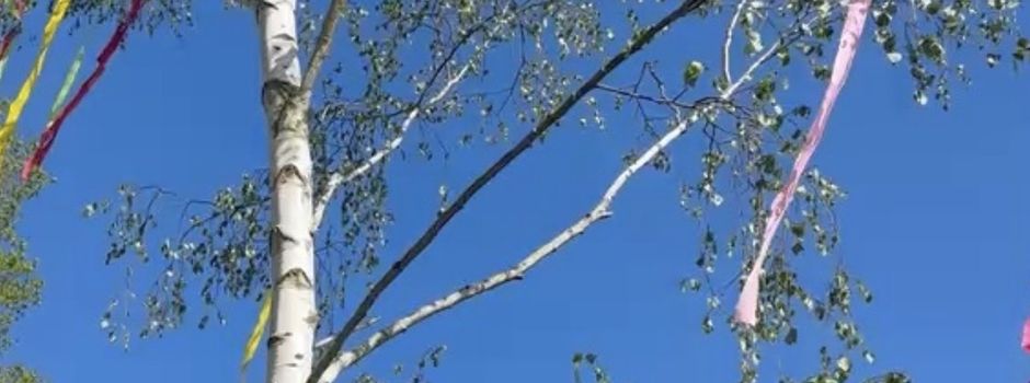 Der Maibaum steht 