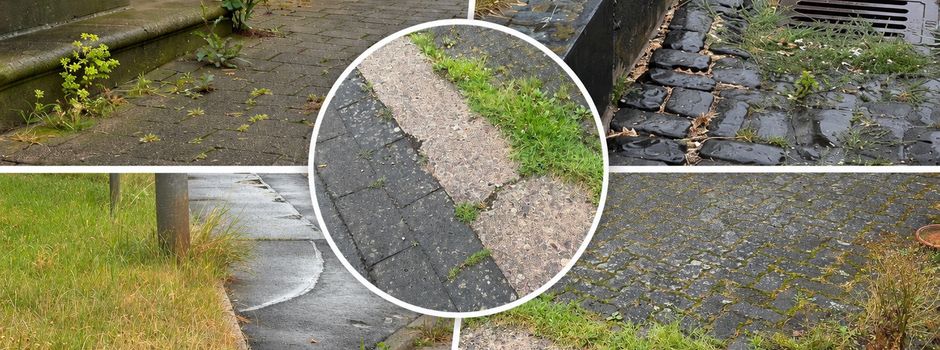Gemeinsam für ein gepflegtes Wanfried