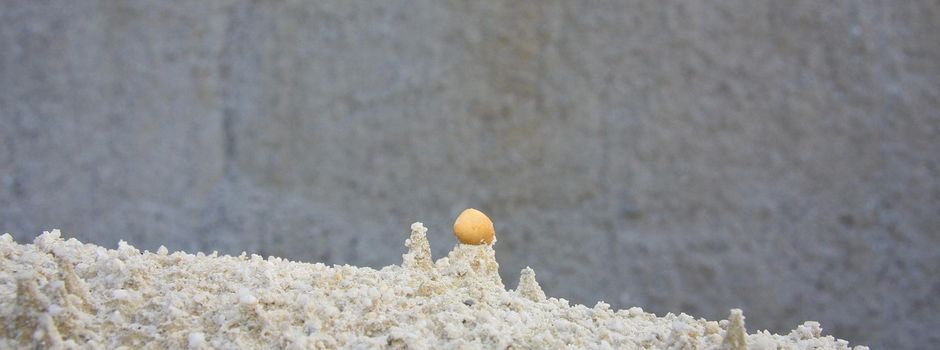 Kunst trifft Kaolin: Lichtinstallation geplant