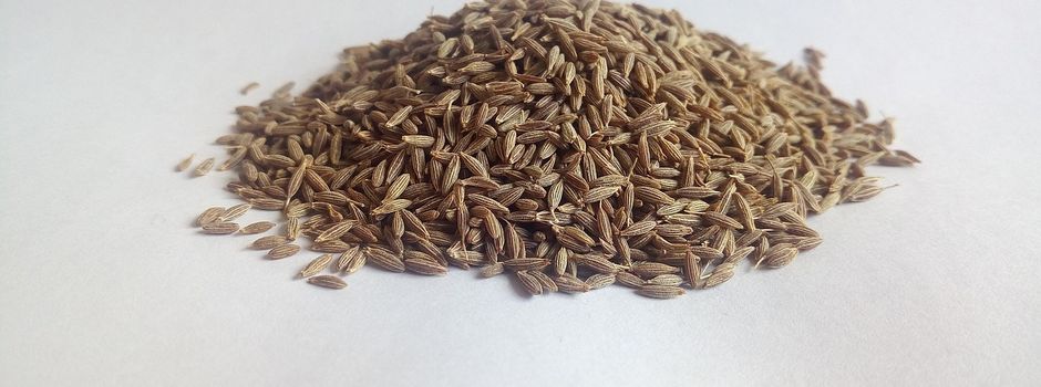 Vortrag: Hilfe zur Selbsthilfe- entspannter durch die Vorweihnachtszeit dank einfach umsetzbarer Tipps aus dem Ayurveda