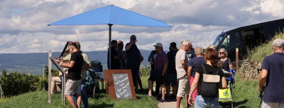 Das erwartet euch beim Weinschlendern in Ingelheim-Großwinternheim