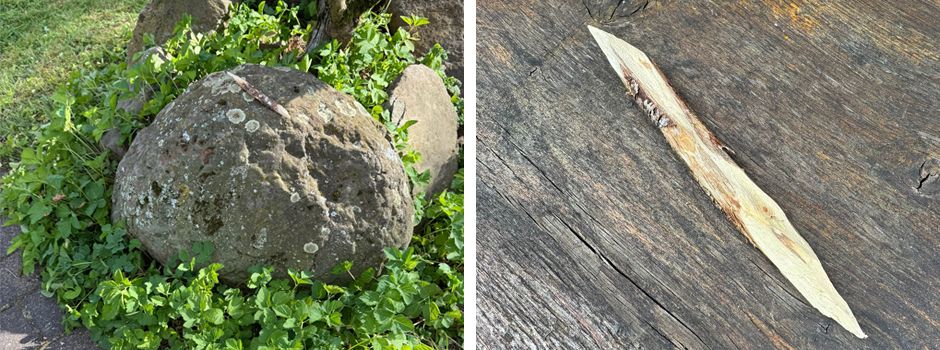 Hundefallen in Steinebach entdeckt!
