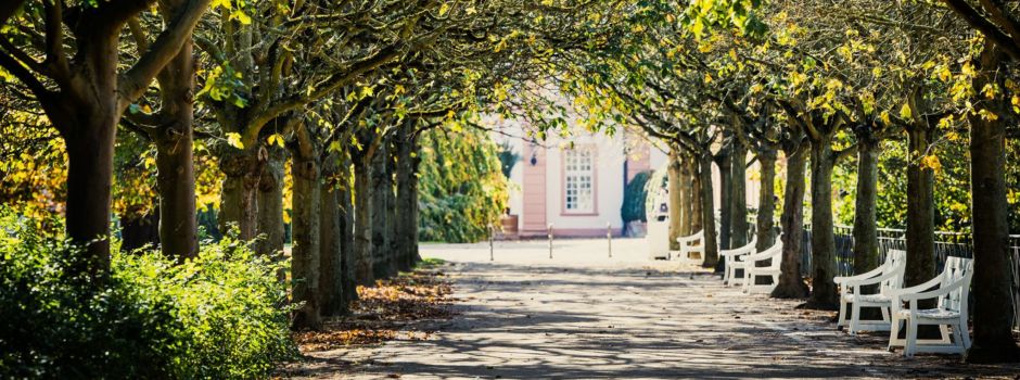 Frau schlägt im Biebricher Schlosspark mit Stöcken auf Passanten ein