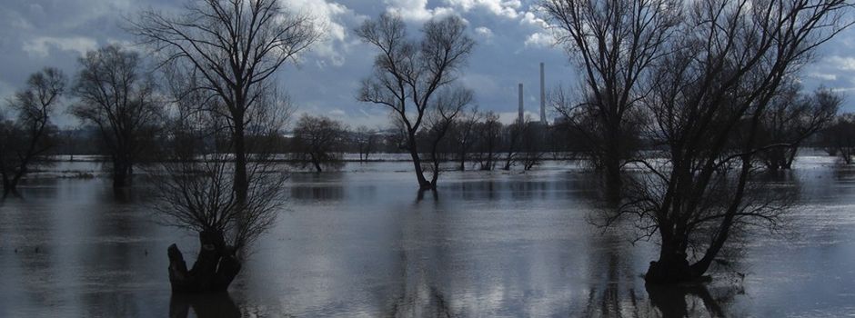 Extremwetter Starkregen – Prävention und Schutz: Online-Vortrag des LK Harburg am 15. April