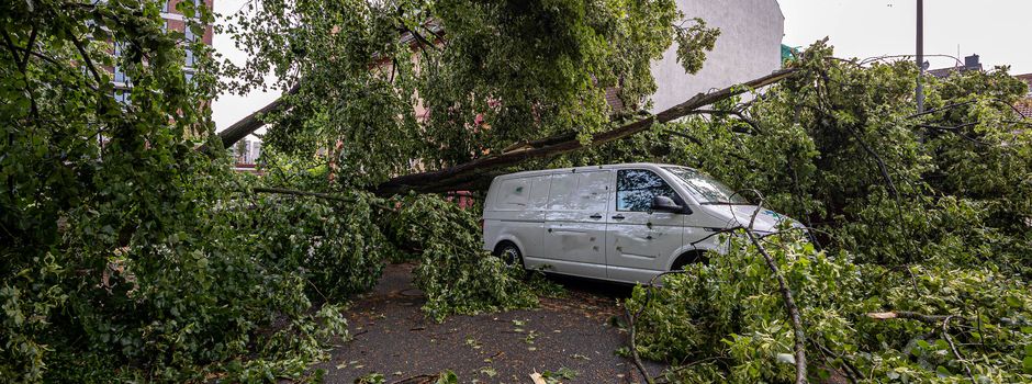 Orkanböen und Starkregen: Schwere Sturmschäden nahe Wiesbaden