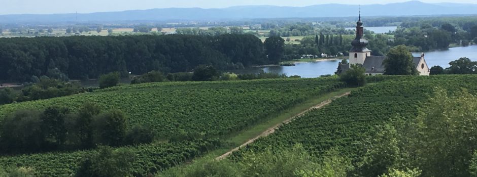 Niersteiner Momente - kurze Videoclips der Wein- und Kulturbotschafterin Barbara Reif
