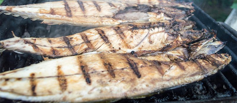 Geselliges Wochenende am Wasser: SpVgg Selzen lädt zum Anglerfest