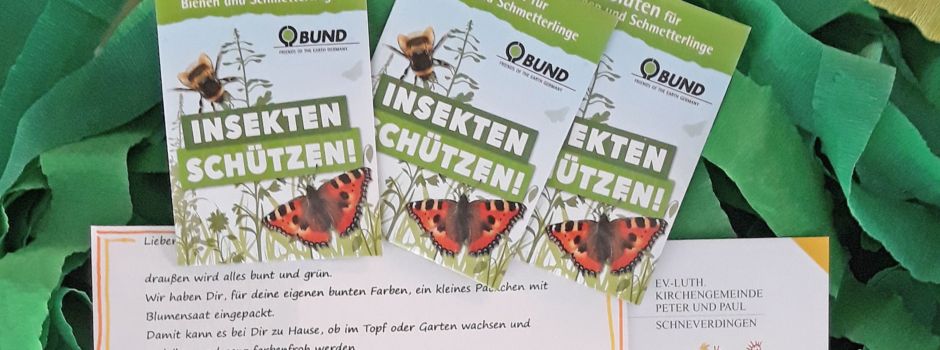 Bunte Vielfalt für Kindergartenkinder