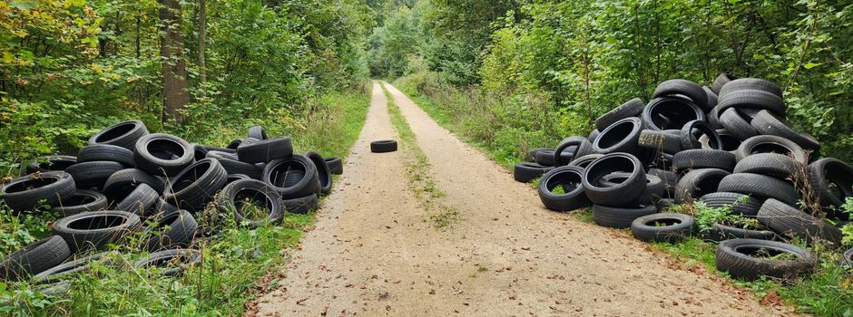 Saubere Landschaft: Unser Appell gegen Müllablagerungen