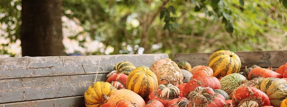 🍂 Familiencafé – Herbstdeko basteln 🎃