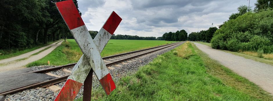 Reaktivierung der OHE-Strecken: Kostenlose Zugfahrt am 31. Juli