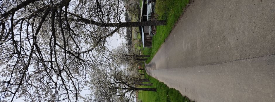 Der Frühling steht vor der Tür