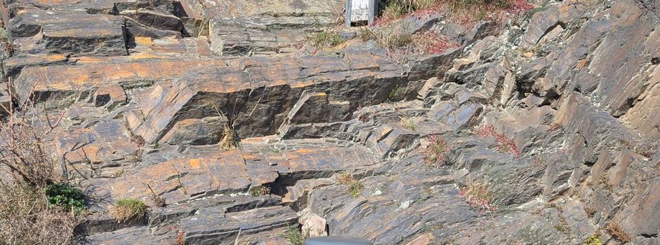 Weitere Hundekotstationen🐕🚮