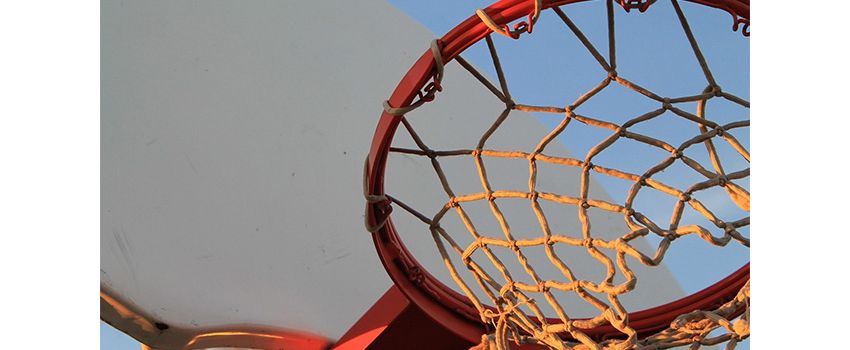 50 Jahre unterm Korb: Der TV Oppenheim feiert großes Basketball-Jubiläum
