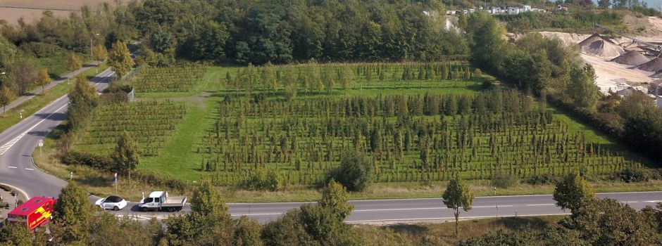 Ratsmehrheit spricht sich eindeutig für ZUE (Zentrale Unterbringungseinrichtung für Flüchtlinge) aus