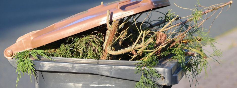 🪵Astsammelplatz in Rengsdorf – So entsorgt Ihr richtig