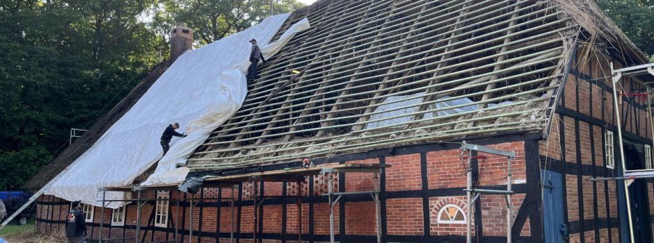 Reetdachsanierung in Wachholz gestartet