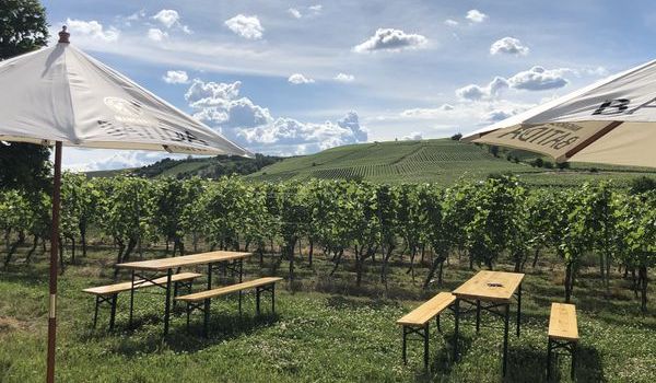 Neue Shisha-Bar in den Weinbergen