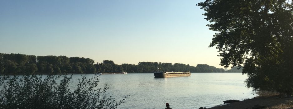 Tipps für Herbstausflüge rund um Wiesbaden