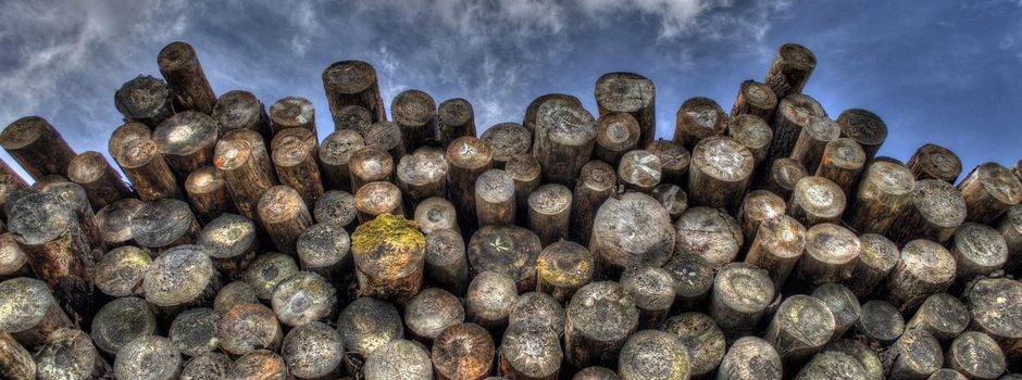 Brennholz aus dem Gemeindewald