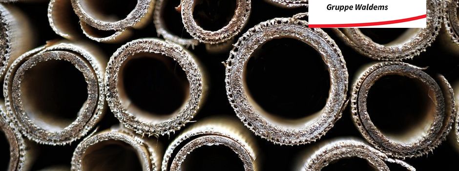 Wir bauen ein Insektenhotel