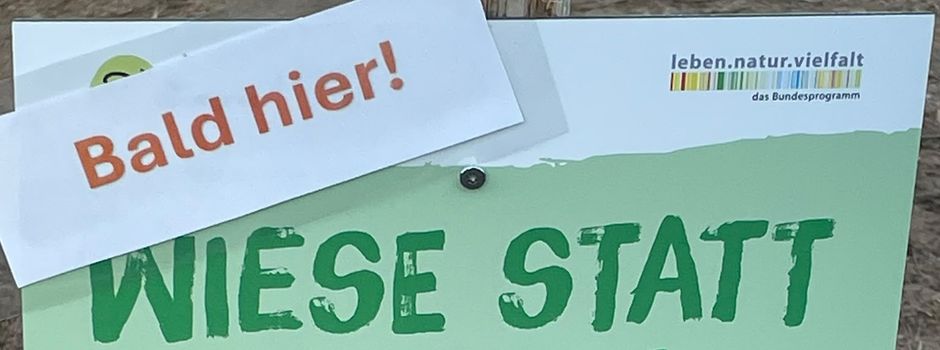 Weiter geht's mit Grünflächen