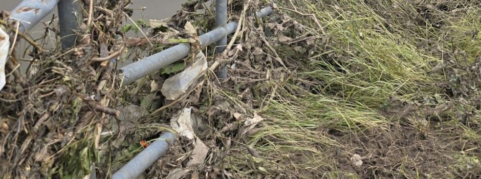 SaarCleanUp Day - Saar Altarm