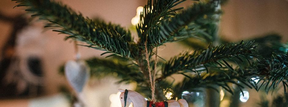 Weihnachtshilfswerk 2026